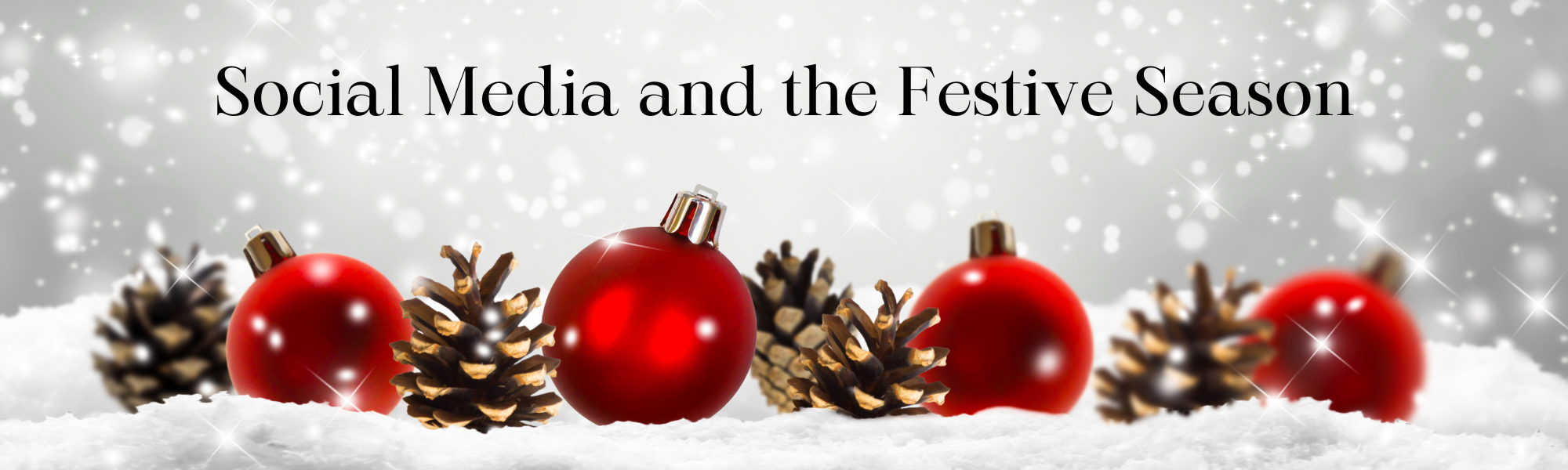 Social Media and the Festive Season